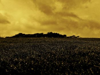 Scenic view of field against cloudy sky