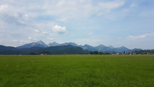 Scenic view of field against sky