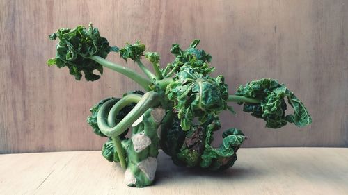 Close-up of vegetables on table