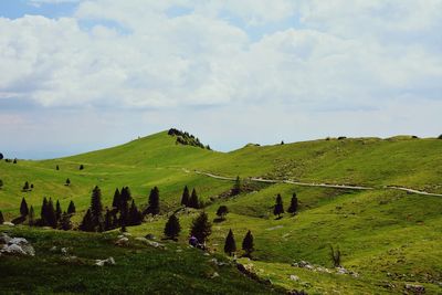 Scenic view of green landscape against sky