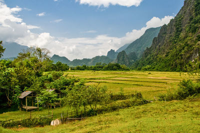 Green field and mountain against sky