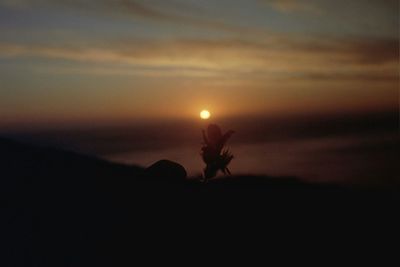 Scenic view of landscape at sunset