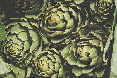 Full frame shot of vegetables