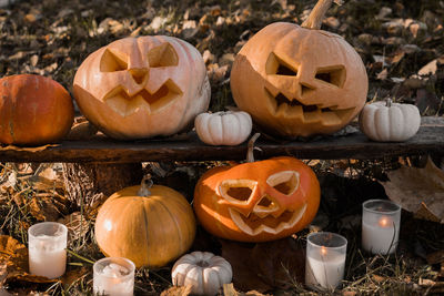 Jack o lantern on field