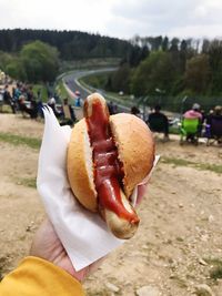 Close-up of hand holding hot dog