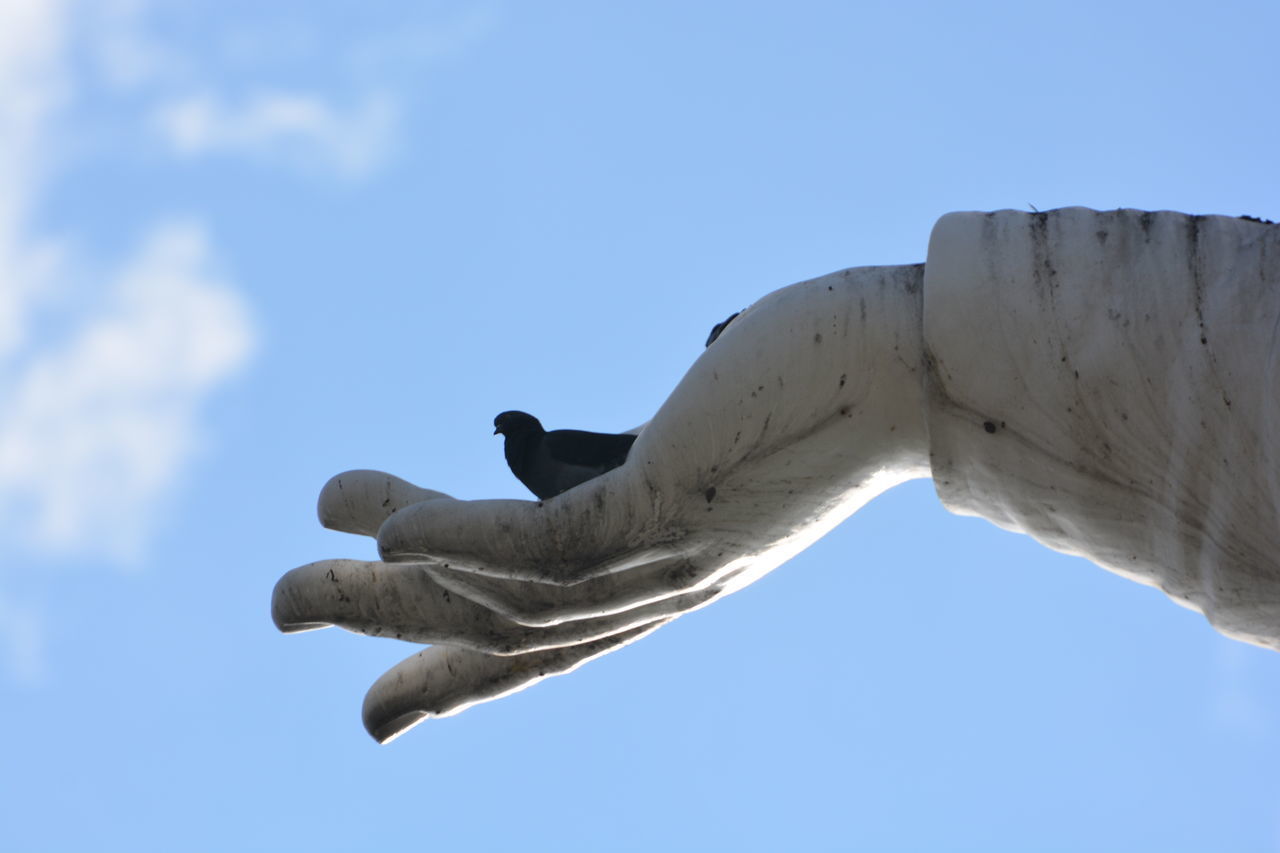 CLOSE-UP OF STATUE AGAINST CLEAR BLUE SKY