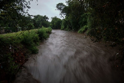 Scenic view of landscape