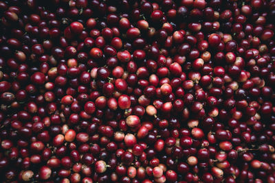 Full frame shot of cranberries for sale at market stall