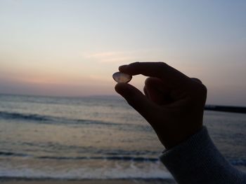 Person holding seashell on beach against sky during sunset