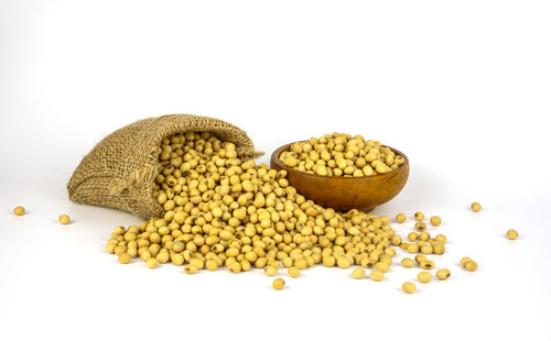 Close-up of sweet food against white background