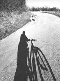 Shadow of man on road
