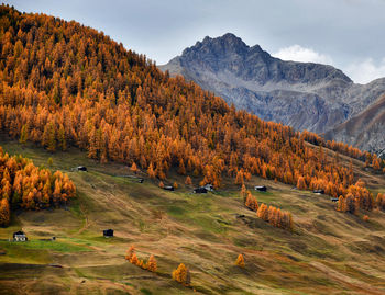 Scenic view of field against sky during autumn