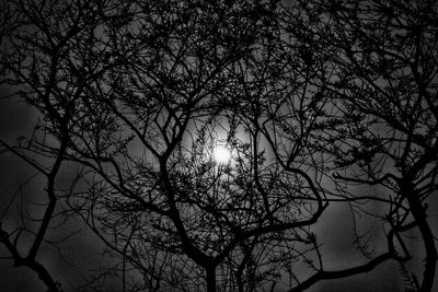 Low angle view of silhouette bare tree against sky