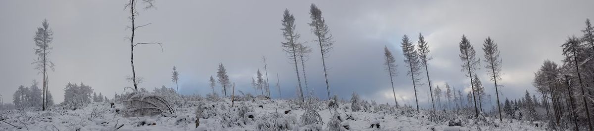 Panoramic shot of snow covered field against sky