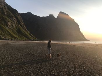 Man with dogs standing on shore against sky during sunset