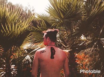 Rear view of shirtless man standing against palm trees