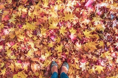 Low section of woman standing on autumn leaves