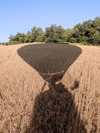 Scenic view of field against clear sky