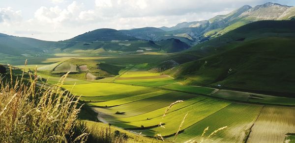 Scenic view of agricultural field against sky