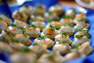 Close-up of served food in plate