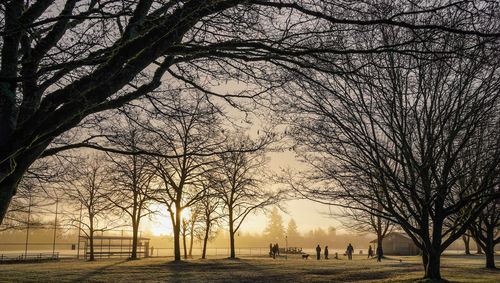 Silhouette bare tree in park against sky