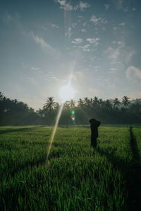 Scenic view of field against bright sun
