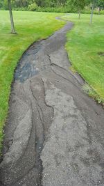 Road passing through grassy field