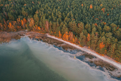 Scenic view of river amidst trees during autumn