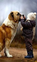 animal themes
