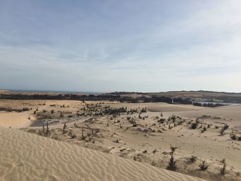 Scenic view of desert against sky