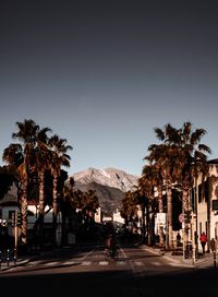 People walking on road along palm trees