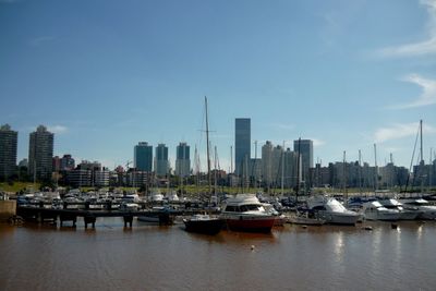 Boats moored at harbor