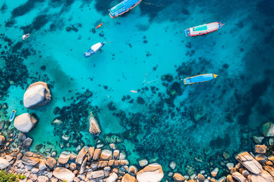 High angle view of fish swimming in sea