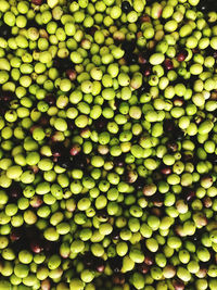 Full frame shot of green beans