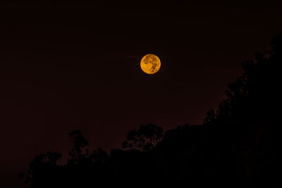 Low angle view of moon against clear sky at night