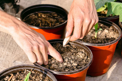 Midsection of person preparing food