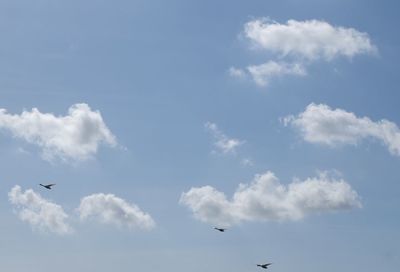 Low angle view of birds flying in sky