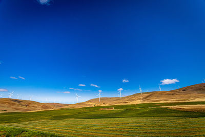 Scenic view of field against blue sky