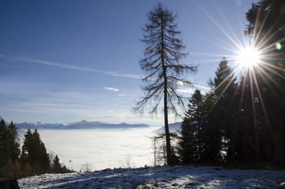 Scenic view of snow covered landscape against sky