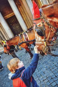 Side view of boy touching horse standing on street in city