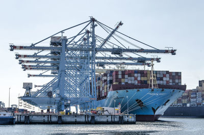 Large cranes and vessels at one of the container terminals on maasvlakte industrial area