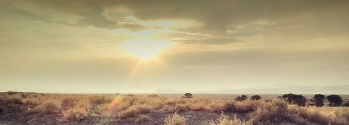 Scenic view of field against rainbow in sky