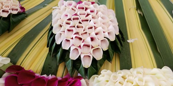 Close-up of pink flower bouquet