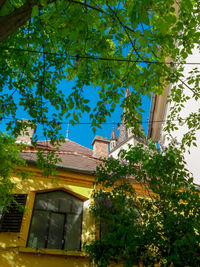 Low angle view of tree by building against sky