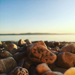 Surface level of rocks on beach