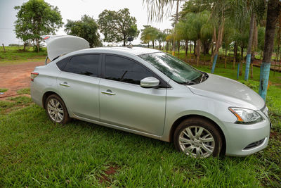 Car on field