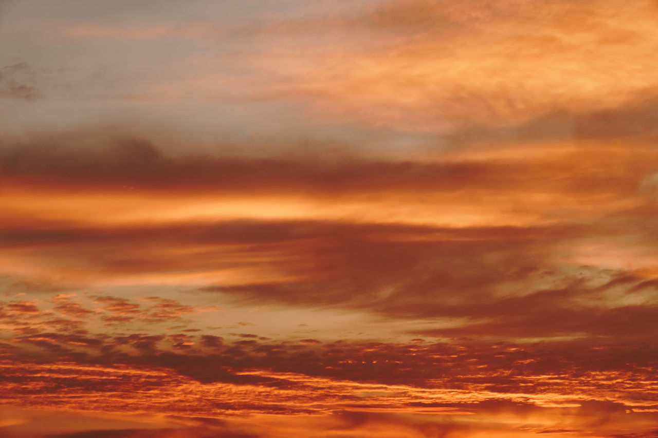 LOW ANGLE VIEW OF DRAMATIC SKY