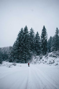 Man on snow covered trees against sky