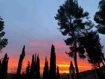 Silhouette of trees during sunset