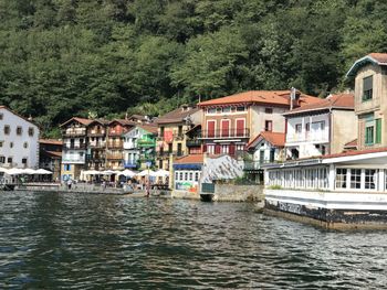 River amidst buildings and trees in city